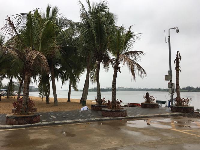 定居琼海过冬的感受?琼海历史最冷多少度-图1 定居琼海过冬的感受?琼海历史最冷多少度-图1