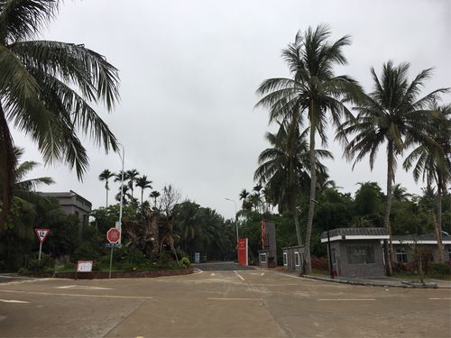 定居琼海过冬的感受?琼海历史最冷多少度-图2 定居琼海过冬的感受?琼海历史最冷多少度-图2