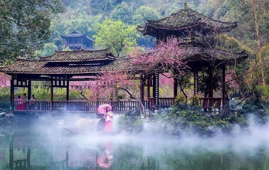 常德桃花源2023年桃花开了吗?常德最低温度多少-图1 常德桃花源2023年桃花开了吗?常德最低温度多少-图1