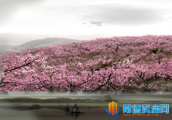 常德桃花源2023年桃花开了吗?常德最低温度多少-图3 常德桃花源2023年桃花开了吗?常德最低温度多少-图3