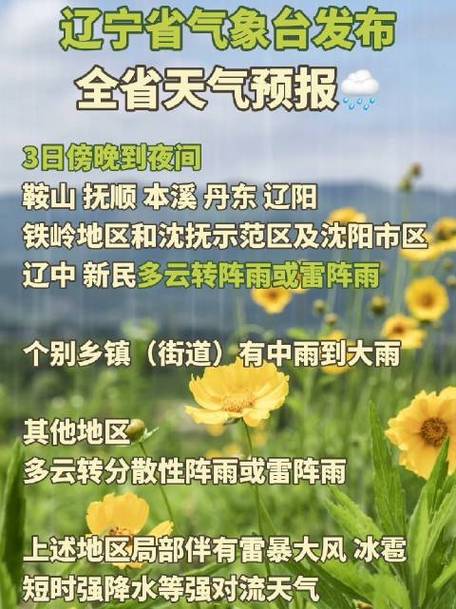 辽宁天气预报市排序？沈阳大东的天气多少呀-图3