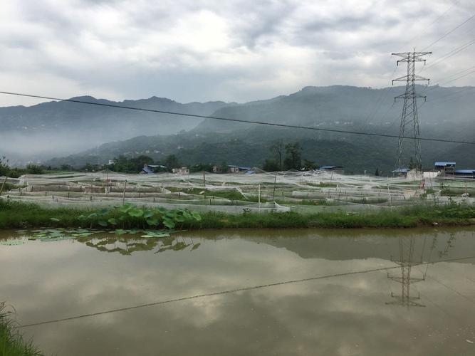 开县在那里yrrrrrrrrr?重庆开县有多少度-图2 开县在那里yrrrrrrrrr?重庆开县有多少度-图2