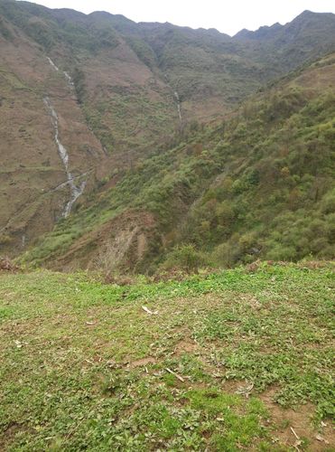 四川凉山彝族自治州海拔是多少?雷波年均气温多少度-图3 四川凉山彝族自治州海拔是多少?雷波年均气温多少度-图3