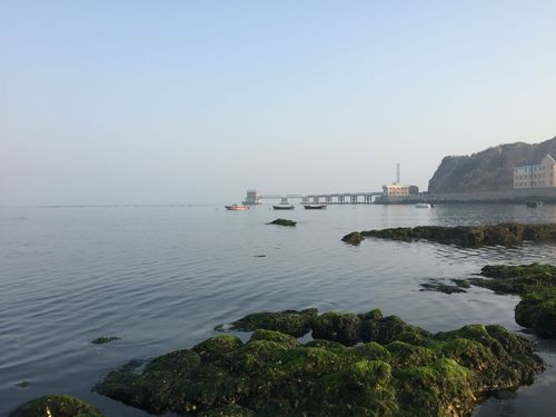 大连旅顺冬天一般多少度?最冷多少度?大连旅顺的气温是多少-图1 大连旅顺冬天一般多少度?最冷多少度?大连旅顺的气温是多少-图1