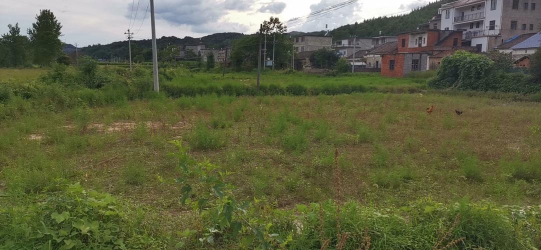 江西省九江市彭泽县上十岭顺丰快递能寄到吗？杨梓到彭泽县车费多少-图2