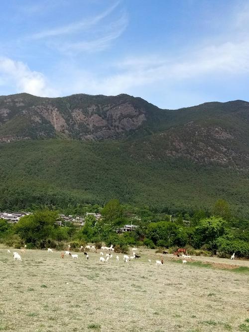 丽江白沙镇海拔多少米?白沙天气多少度-图3 丽江白沙镇海拔多少米?白沙天气多少度-图3