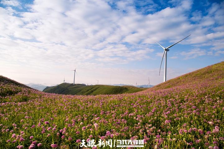 赫章韭菜坪几月去最合适?赫章县气温明天多少 今天多少度-图3 赫章韭菜坪几月去最合适?赫章县气温明天多少 今天多少度-图3