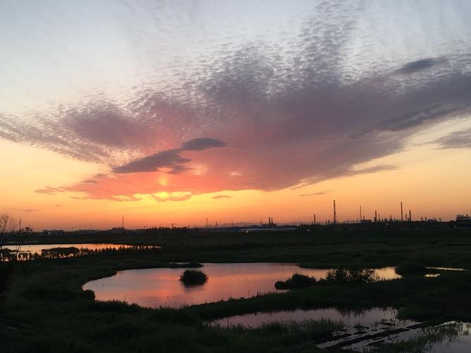 辽宁盘锦属于什么气候呀?今天盘锦气温多少度-图1 辽宁盘锦属于什么气候呀?今天盘锦气温多少度-图1