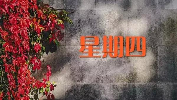 今天是星期四,再过几天是星期四?今天多少度星期四-图2 今天是星期四,再过几天是星期四?今天多少度星期四-图2