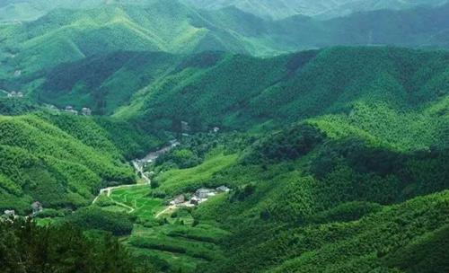 浙江山区避暑最好的地方?浙江嘉善现在多少温度-图3 浙江山区避暑最好的地方?浙江嘉善现在多少温度-图3