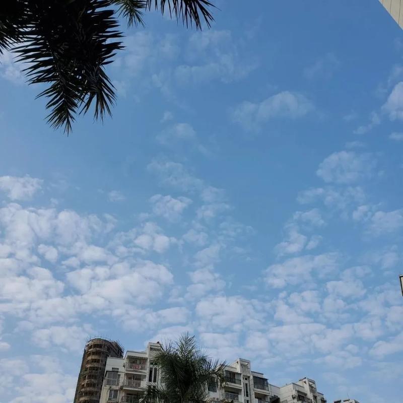 南宁夏季热不死人吧?南宁夏天的最高温度是多少-图2 南宁夏季热不死人吧?南宁夏天的最高温度是多少-图2