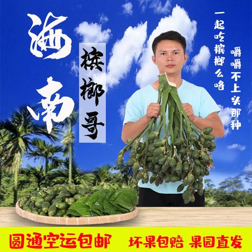 文昌槟榔价今天多少一斤?文昌明天多少度-图2 文昌槟榔价今天多少一斤?文昌明天多少度-图2