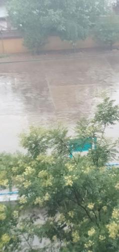 南开区今天下雨了吗？宝坻今天下雨概率多少-图2