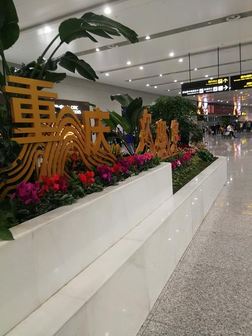 重庆江北机场有多大?2017重庆最高温度多少度-图3 重庆江北机场有多大?2017重庆最高温度多少度-图3