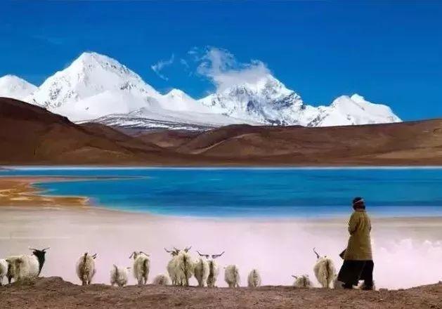 7月西藏最冷的地方?那曲七月有多少度-图2 7月西藏最冷的地方?那曲七月有多少度-图2