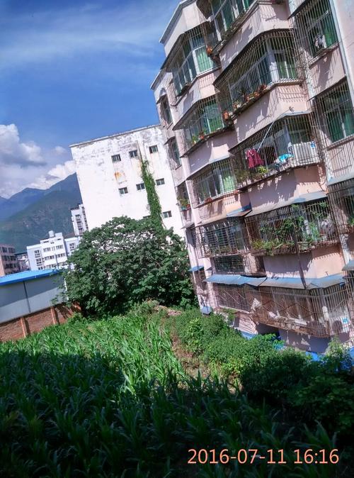 四川省凉山彝族自治州德昌县德中路邮编是什么?德昌县区号是多少-图3 四川省凉山彝族自治州德昌县德中路邮编是什么?德昌县区号是多少-图3