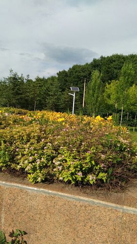 七台河市的气候怎么样?七台河夏天多少度-图3 七台河市的气候怎么样?七台河夏天多少度-图3