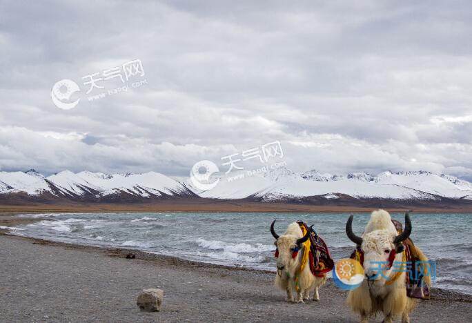 五月西藏的气温如何?5月底西藏气温有多少度-图2 五月西藏的气温如何?5月底西藏气温有多少度-图2