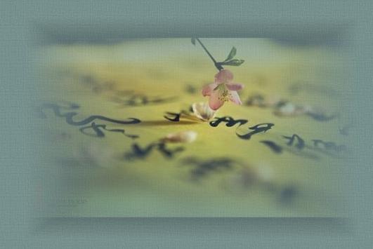 素衣清颜淡若尘全诗?北辰多少天赏-图2 素衣清颜淡若尘全诗?北辰多少天赏-图2