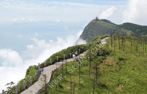峨眉山山顶温度?现在峨眉山上温度多少-图3 峨眉山山顶温度?现在峨眉山上温度多少-图3