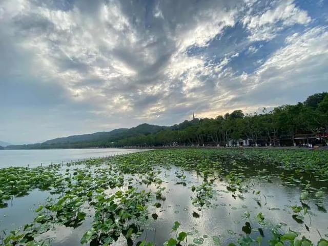 杭州夏天很热？杭州六月份最高多少-图3
