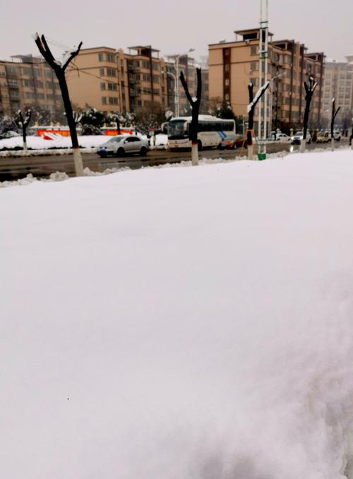 2021年11月份哪天下的大雪?11月中旬的沈阳气温有多少度-图3 2021年11月份哪天下的大雪?11月中旬的沈阳气温有多少度-图3