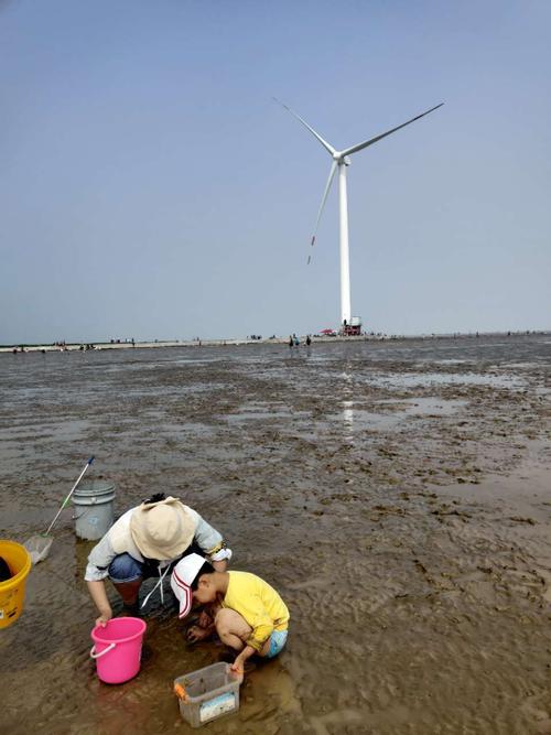 响水海边旅游攻略?响水11月份多少度-图2 响水海边旅游攻略?响水11月份多少度-图2
