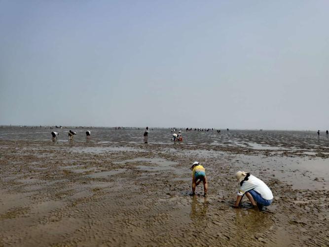 响水海边旅游攻略?响水11月份多少度-图3 响水海边旅游攻略?响水11月份多少度-图3
