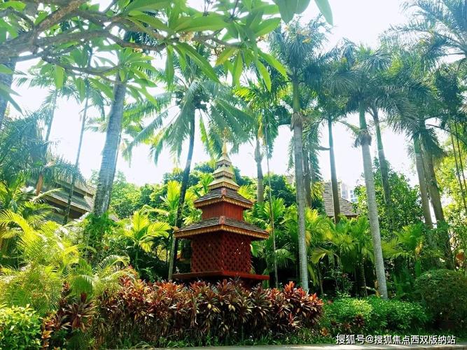 8月去西双版纳会不会太热?云南景洪夏天最高温度多少-图3 8月去西双版纳会不会太热?云南景洪夏天最高温度多少-图3