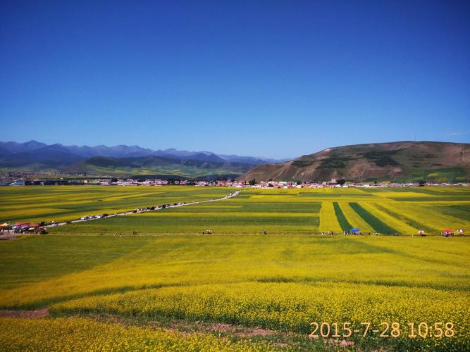 国庆去扁都口能看到油菜花吗?门源平均气温是多少-图1 国庆去扁都口能看到油菜花吗?门源平均气温是多少-图1