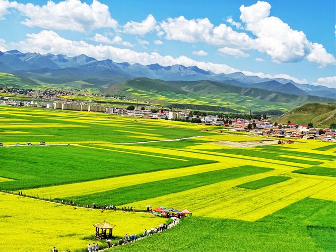 国庆去扁都口能看到油菜花吗?门源平均气温是多少-图2 国庆去扁都口能看到油菜花吗?门源平均气温是多少-图2