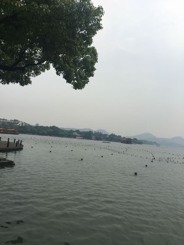 苏州西湖现在气温?杭州西湖今天的温度是多少-图3 苏州西湖现在气温?杭州西湖今天的温度是多少-图3