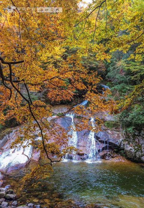 光雾山和米亚罗哪个好?光雾山明天的气温多少度-图1 光雾山和米亚罗哪个好?光雾山明天的气温多少度-图1