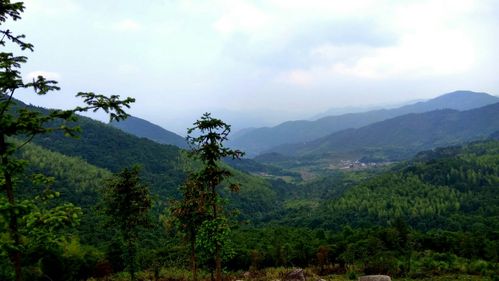广东省内避暑旅游景点?丰顺现在的天气是多少度-图3 广东省内避暑旅游景点?丰顺现在的天气是多少度-图3