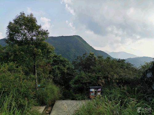 广州海拔最高的山的哪一座?南昆山8号9号天气多少度-图2 广州海拔最高的山的哪一座?南昆山8号9号天气多少度-图2