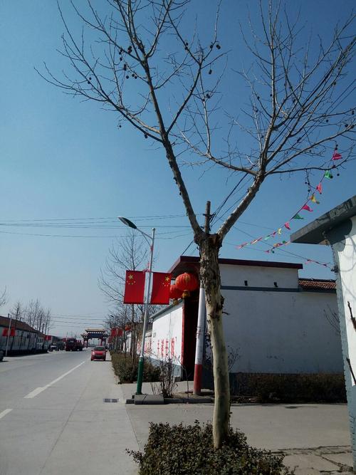 临淄是哪个省的?湖南青州气温温度多少-图3 临淄是哪个省的?湖南青州气温温度多少-图3