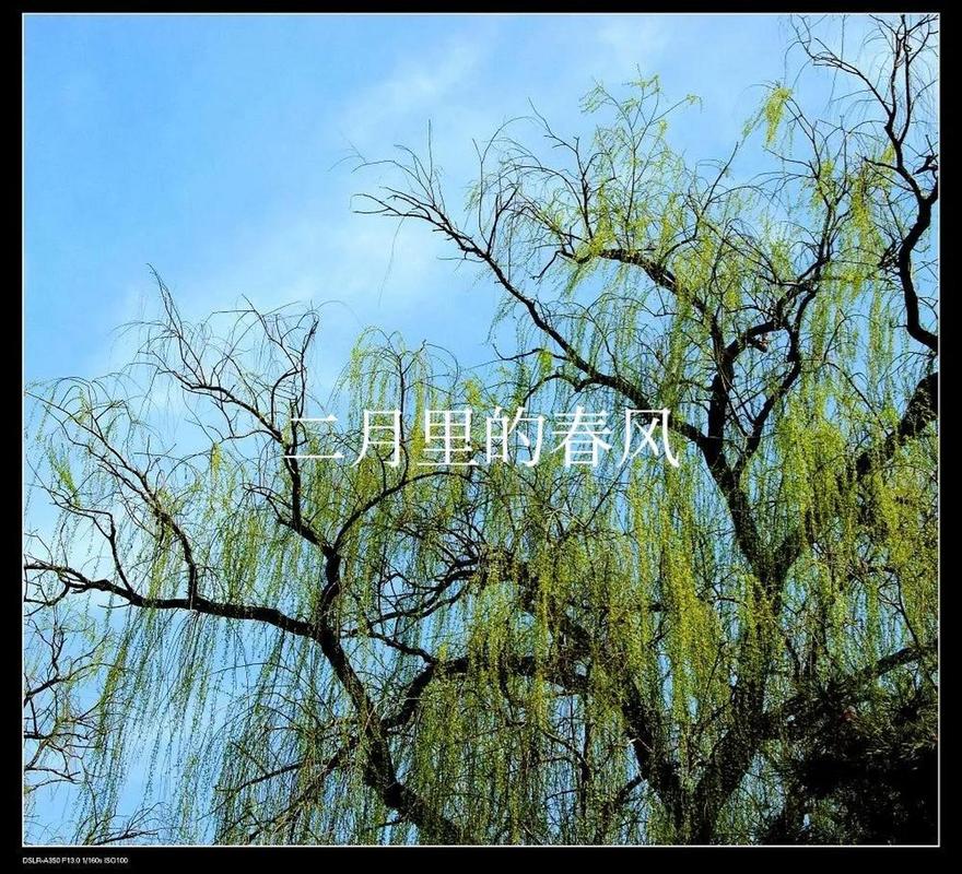 二月吹什么风?二月多少度-图1 二月吹什么风?二月多少度-图1