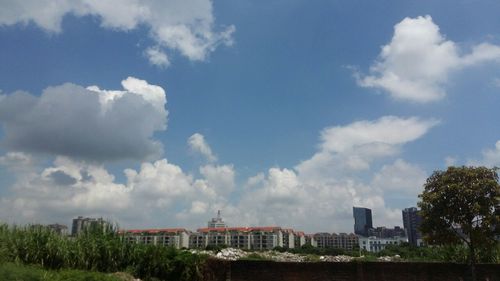 中山市几个季节?请问中山的温度是多少时间-图1 中山市几个季节?请问中山的温度是多少时间-图1