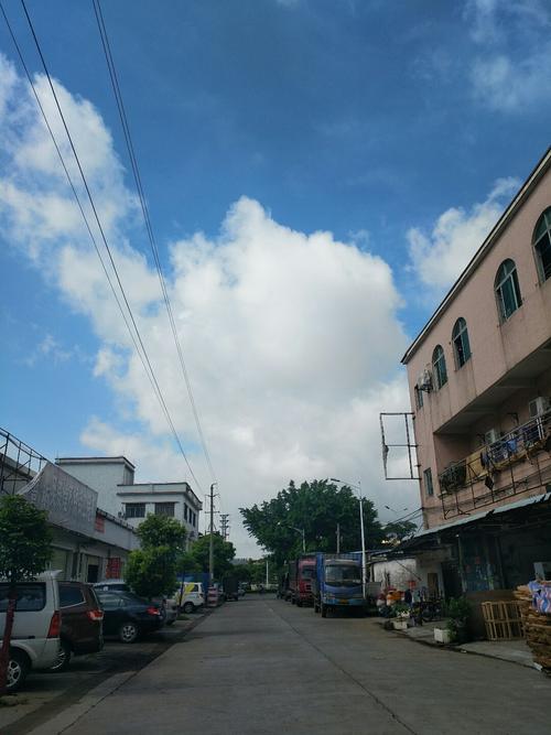中山市几个季节?请问中山的温度是多少时间-图3 中山市几个季节?请问中山的温度是多少时间-图3