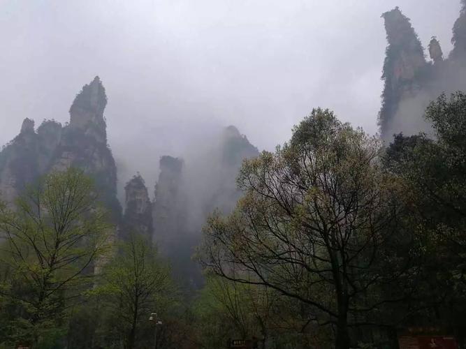 张家界什么时候才能下雨?张家界今天晚上多少度-图1 张家界什么时候才能下雨?张家界今天晚上多少度-图1