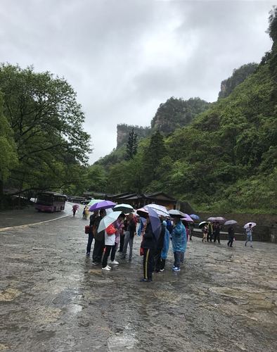 张家界什么时候才能下雨?张家界今天晚上多少度-图3 张家界什么时候才能下雨?张家界今天晚上多少度-图3