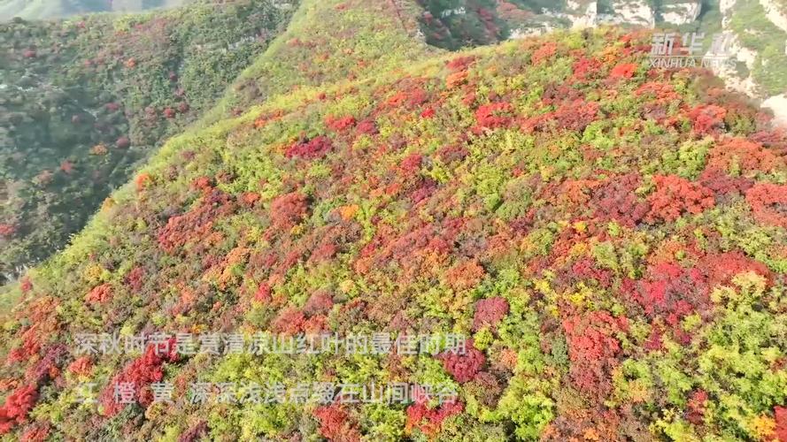 井陉天路红叶最佳观赏时间?井陉矿区气温是1多少-图2 井陉天路红叶最佳观赏时间?井陉矿区气温是1多少-图2