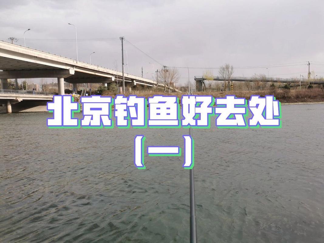 北京冬季钓鱼最佳温度?北京天气今天温度是多少度-图2 北京冬季钓鱼最佳温度?北京天气今天温度是多少度-图2