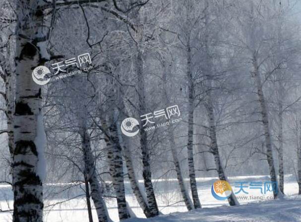 今年一九到三九是什么时间?天气一九是多少度-图2 今年一九到三九是什么时间?天气一九是多少度-图2