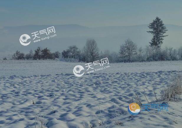 今年一九到三九是什么时间?天气一九是多少度-图1 今年一九到三九是什么时间?天气一九是多少度-图1