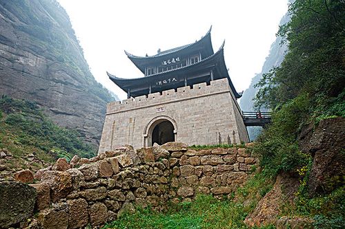 四川有哪些古树名木?剑门关到崇州多少公里-图3 四川有哪些古树名木?剑门关到崇州多少公里-图3
