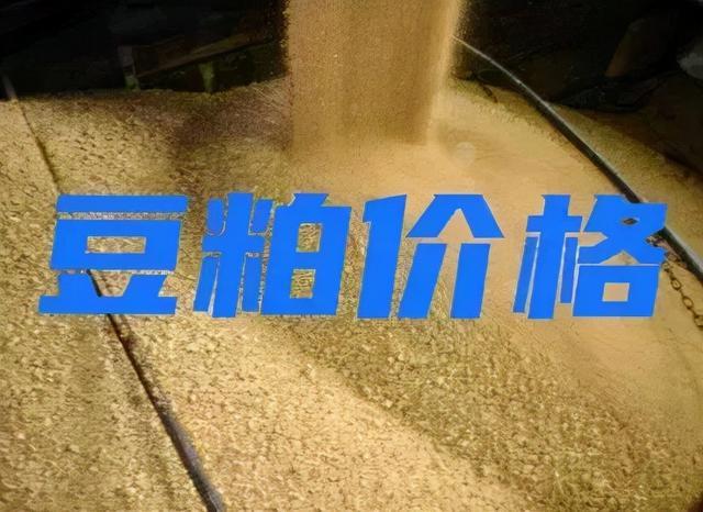 龙口豆粕出厂价?三月底龙口温度大约是多少钱-图2 龙口豆粕出厂价?三月底龙口温度大约是多少钱-图2