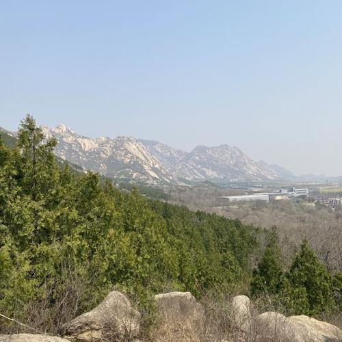 后刘村在什么地方?招远凤凰岭公园总长多少千米-图1 后刘村在什么地方?招远凤凰岭公园总长多少千米-图1