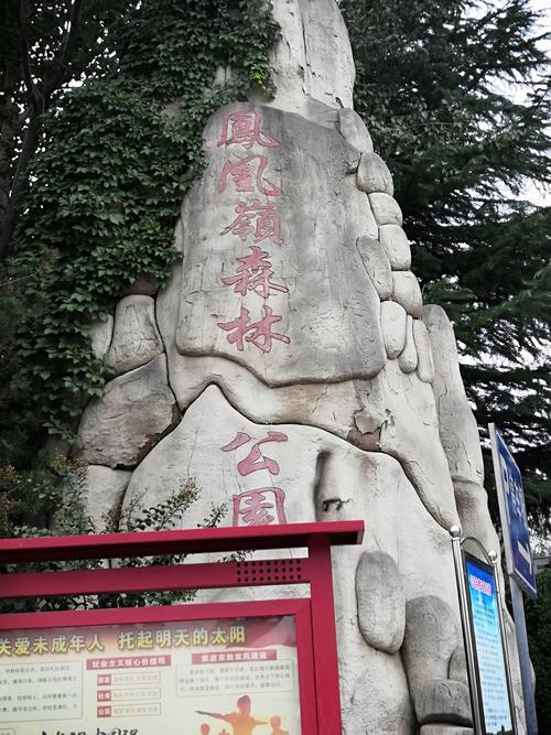后刘村在什么地方?招远凤凰岭公园总长多少千米-图2 后刘村在什么地方?招远凤凰岭公园总长多少千米-图2