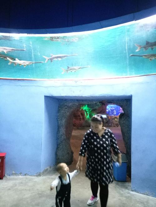 龙门海洋馆现在里面多少度?洛阳龙门今天气温多少度-图2 龙门海洋馆现在里面多少度?洛阳龙门今天气温多少度-图2